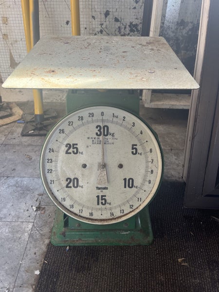 Scales Carousel 1