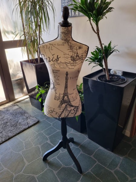 Ladies Display Mannequin Carousel 1