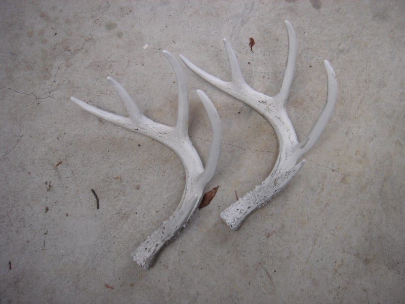 Deer Antlers Carousel 3