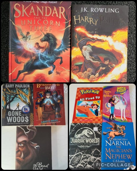 Tween and Teen Books Carousel 1
