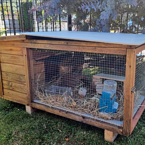 Pair of Silver Button Quails with hutch and accessories Carousel 1