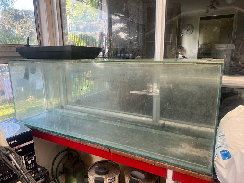 Fish tank Carousel 1