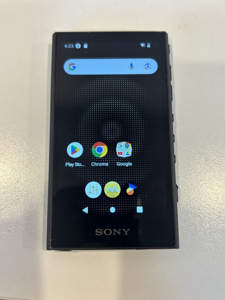 Sony Walkman NW-A306 Carousel 1