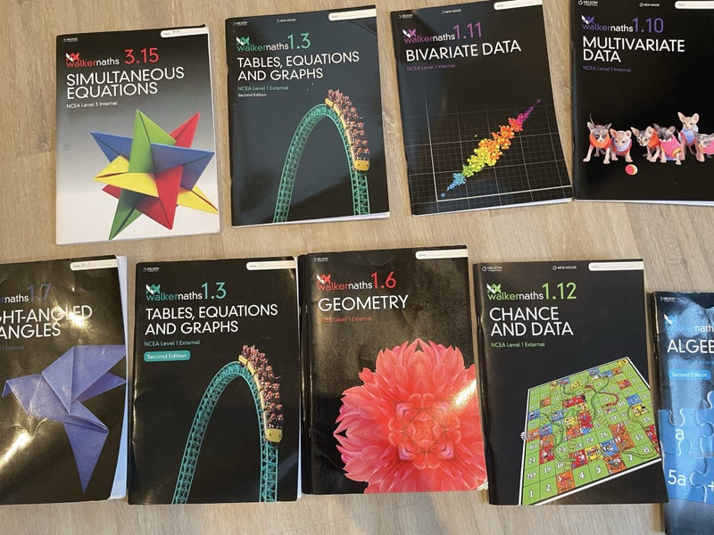 Study guides bulk lot Carousel 4