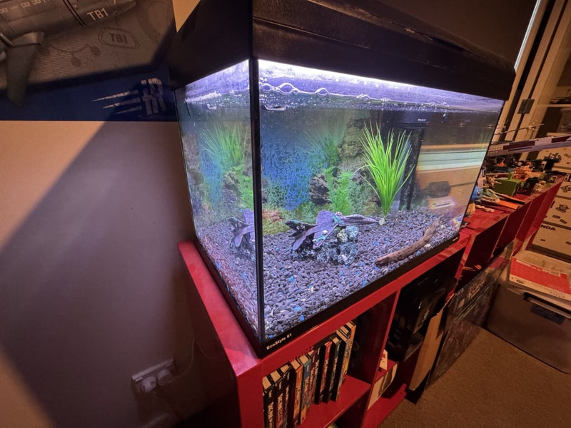 Fish Tank Aqua one EcoStyle 61 Carousel 2