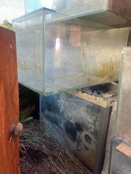 2x fish tanks Carousel 1