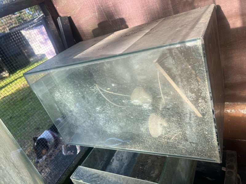 Fish tank - tall & narrow (on side in photo) Carousel 1