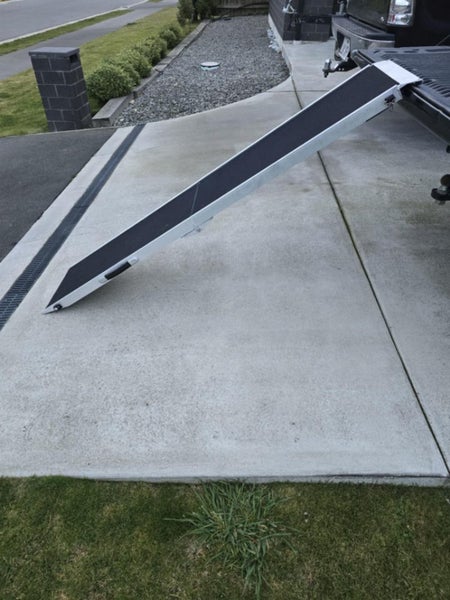 Dog Ramp Carousel 1