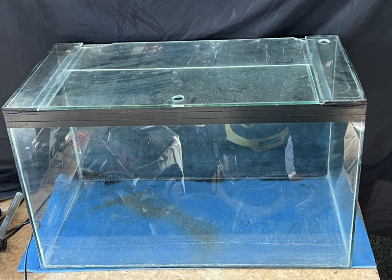 Fish Tank Carousel 1