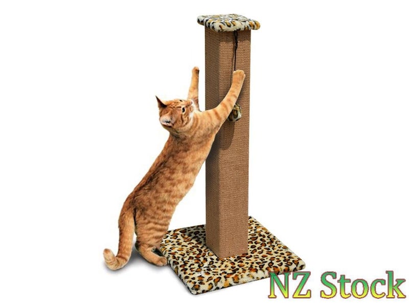 PTN NEW Cat Scratcher Sale Sale Carousel 1