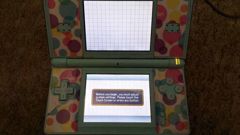 Nintendo DS Carousel 1