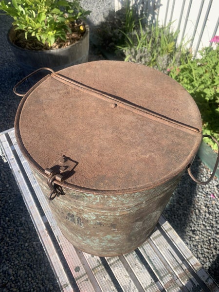 Large antique oatmeal tin Carousel 2