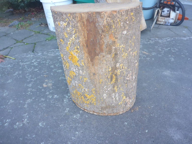Wood turning blank Carousel 3