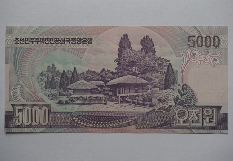 Kim Il-sung on North Korea 5000 won 2006 Carousel 2