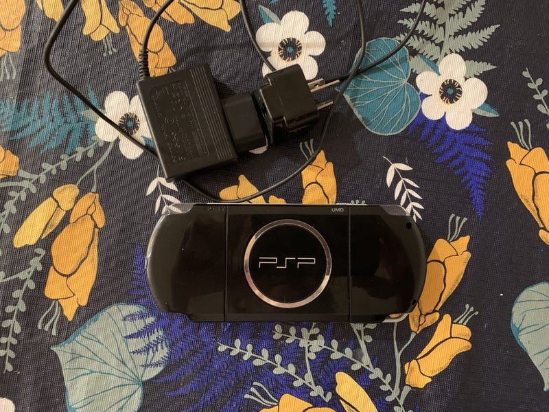 PSP3004 Carousel 2