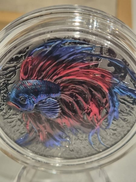 RARE STUNNING GERMANIA MINT 2oz BETTA FISH COIN Carousel 1