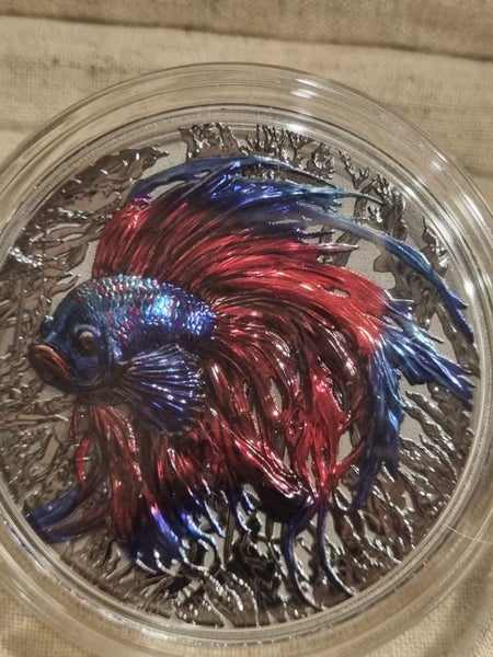 RARE STUNNING GERMANIA MINT 2oz BETTA FISH COIN Carousel 2