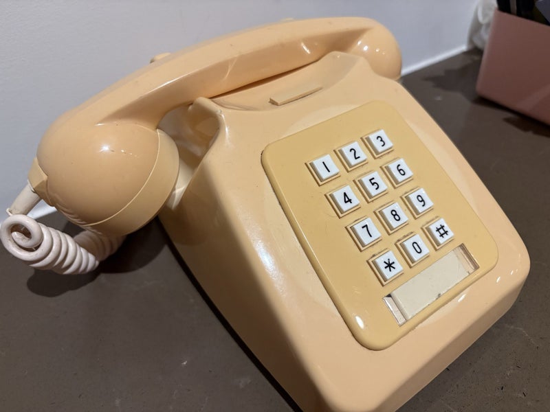 Cute retro lemon telephone Carousel 1