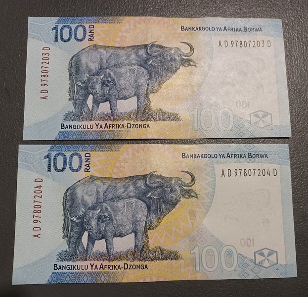 South Africa - 100 Rand banknote x 2 (2023) Carousel 1