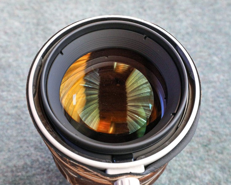 Canon EF 400mm f/4 DO IS II - newer sharper version Carousel 1