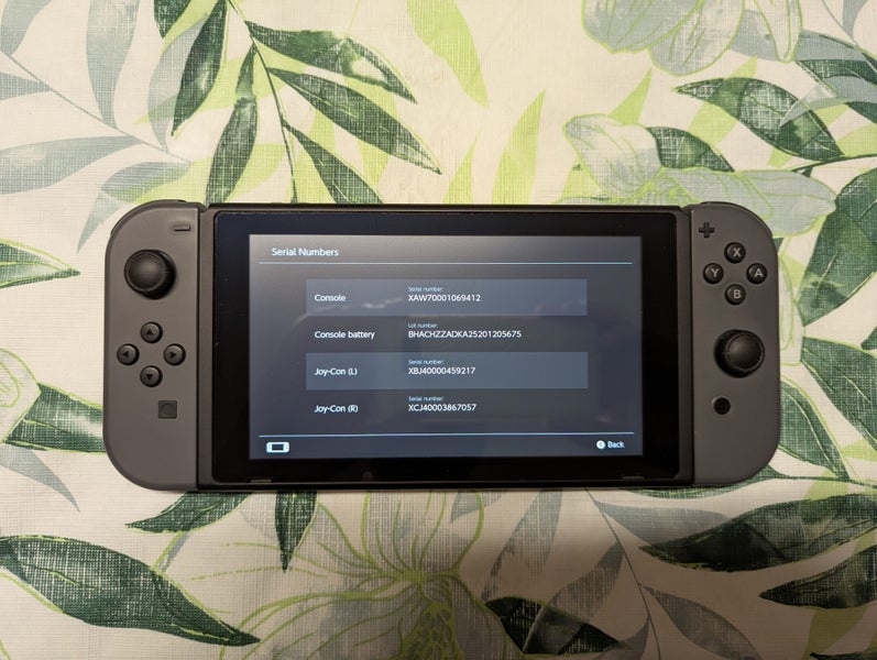Nintendo Switch V1 Hackable Launch Day System Carousel 20