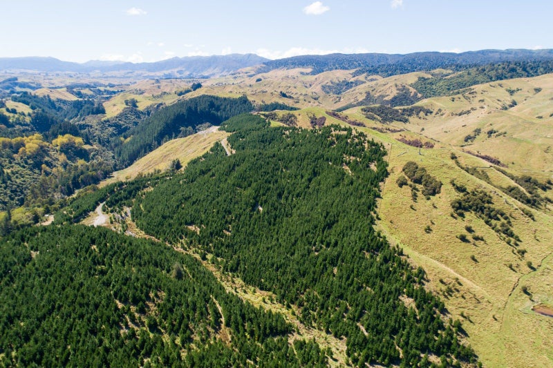 Image 3 of 36