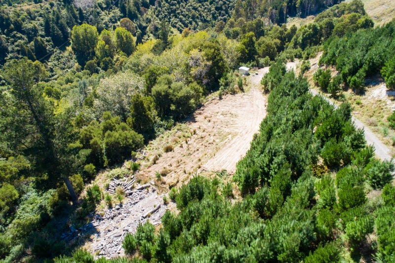 Image 2 of 6