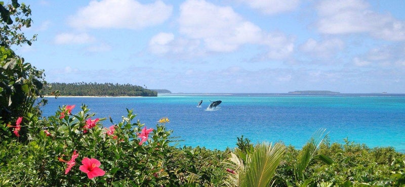 HOLIDAY HOME FOR SALE IN VAVA’U, KINGDOM OF TONGA Carousel 20