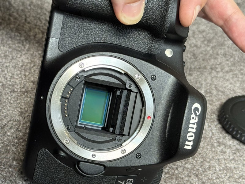 Canon EOS 7D - Body Only62952856055554111