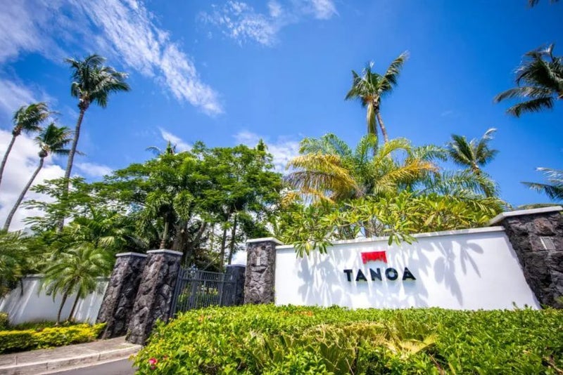 Samoa Accommodation - Tanoa Tusitala - June 28 to July 2 2025 Carousel 2