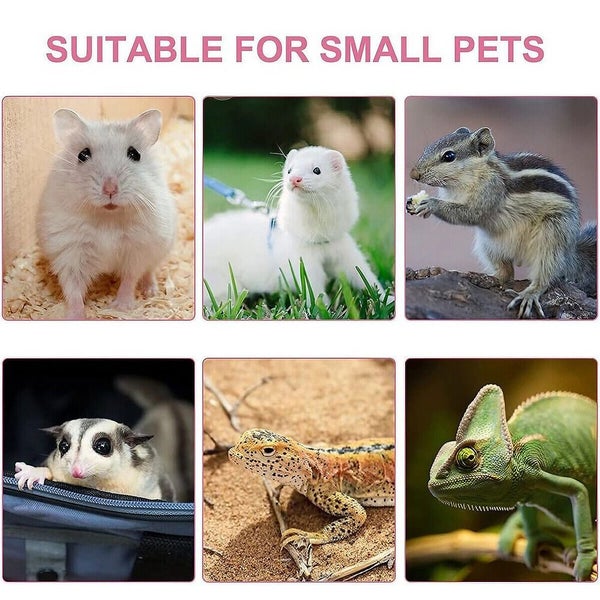 Hamster Traction Rope Anti Bite Mouse Walking Leash Windproof Outdoors Safe Carousel 2