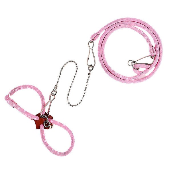 Hamster Traction Rope Anti Bite Mouse Walking Leash Windproof Outdoors Safe Carousel 15