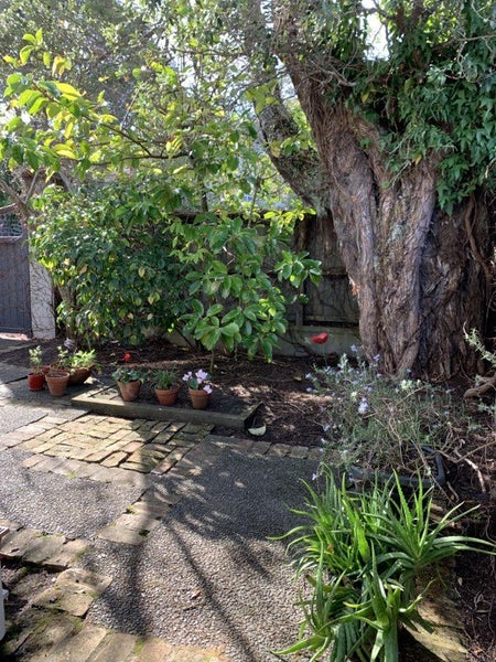 Image 1 of 19