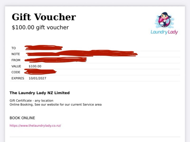 $100 Laundry Lady Voucher - $1 Reserve Carousel 1