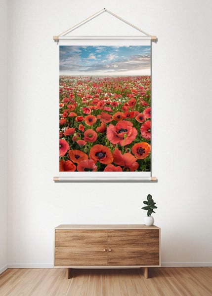 Poppy Field Canvas Print Wall Art62854319567874112