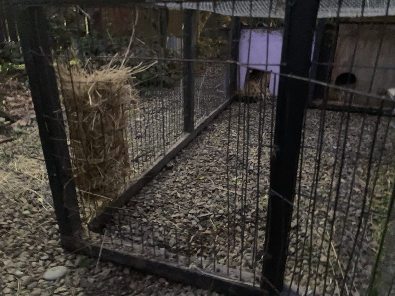 LARGE RABBIT HUTCH Carousel 2