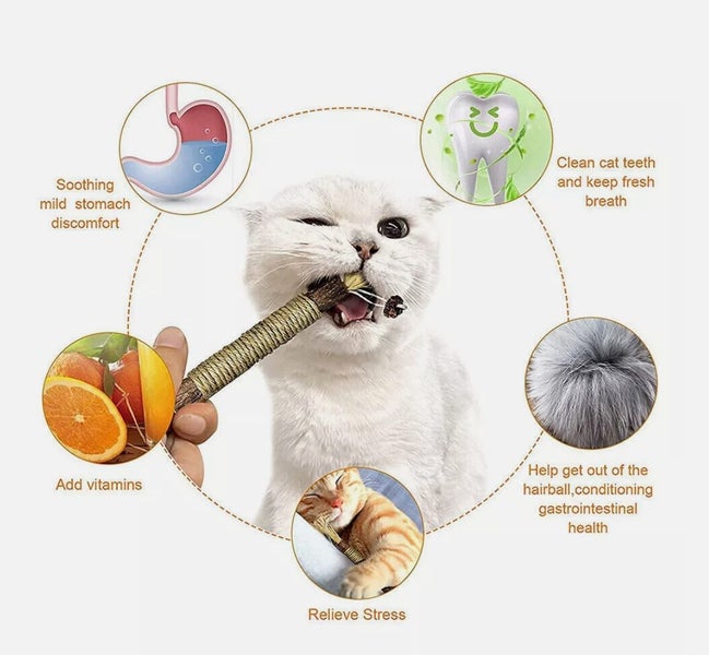 4X Cat Toys Silvervine Chew Stick Kitten Treat Catnip Toy Cleaning Teeth Toys Carousel 2