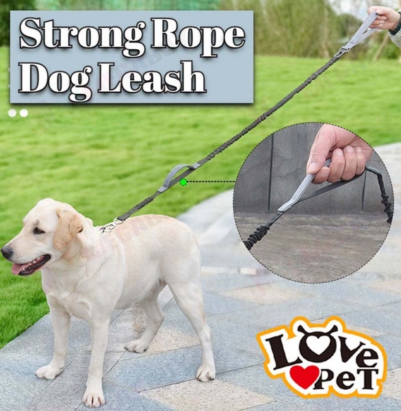 PTN NEW Dog Lead Sale - Sale Sale Carousel 1