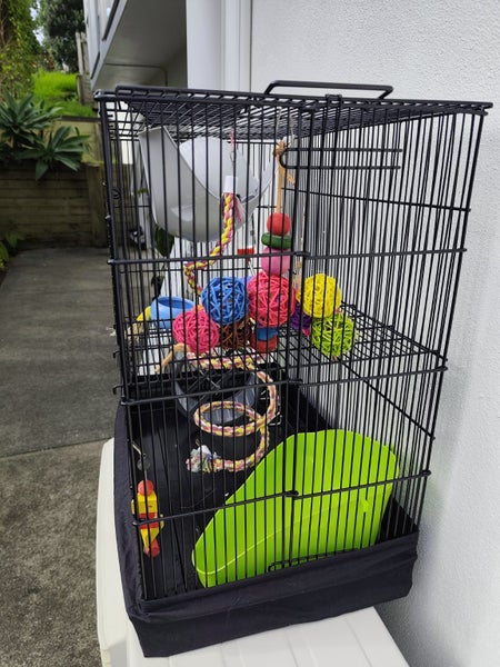Rat chinchilla cage Carousel 1
