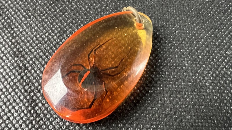 Vintage Red Back Spider Encased in Amber Plastic Pendant - Lot E368 Carousel 1