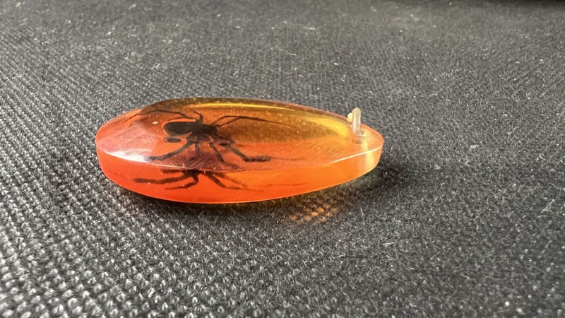 Vintage Red Back Spider Encased in Amber Plastic Pendant - Lot E368 Carousel 2