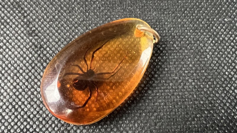 Vintage Red Back Spider Encased in Amber Plastic Pendant - Lot E368 Carousel 3