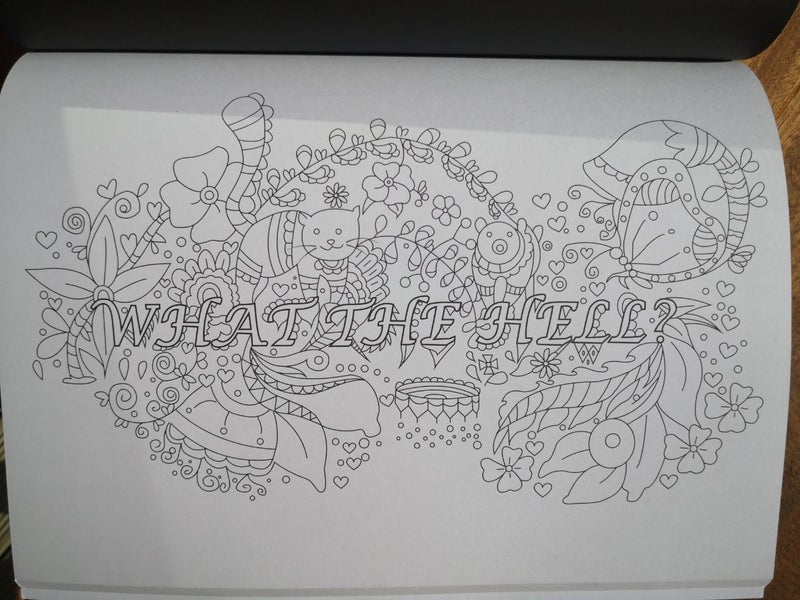 Adult Colouring Book Swear and Relax Vol.1 Art Relaxing Coloring Carousel 5