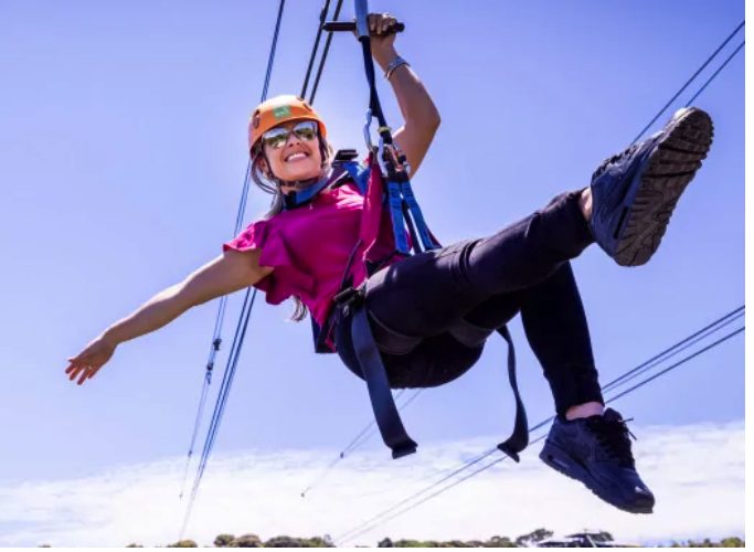 EcoZip Adventures - Family Tickets - Waiheke Island Carousel 1