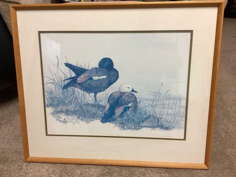 Paradise Shelducks limited edition print Carousel 1