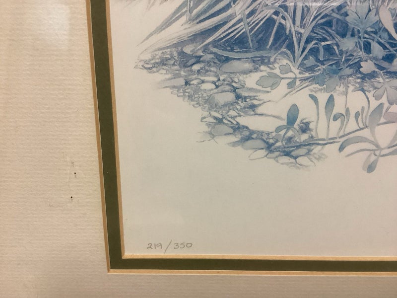 Paradise Shelducks limited edition print Carousel 2