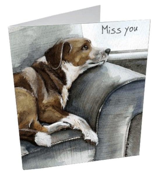 Blank Greeting Cards Mini Notecards: Pack of 3 Assorted Cards Carousel 2