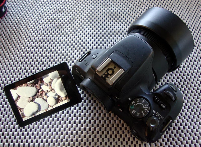 Canon 200D + IDEAL FOR NCEA = FREE SHIPPING!629519056126741112
