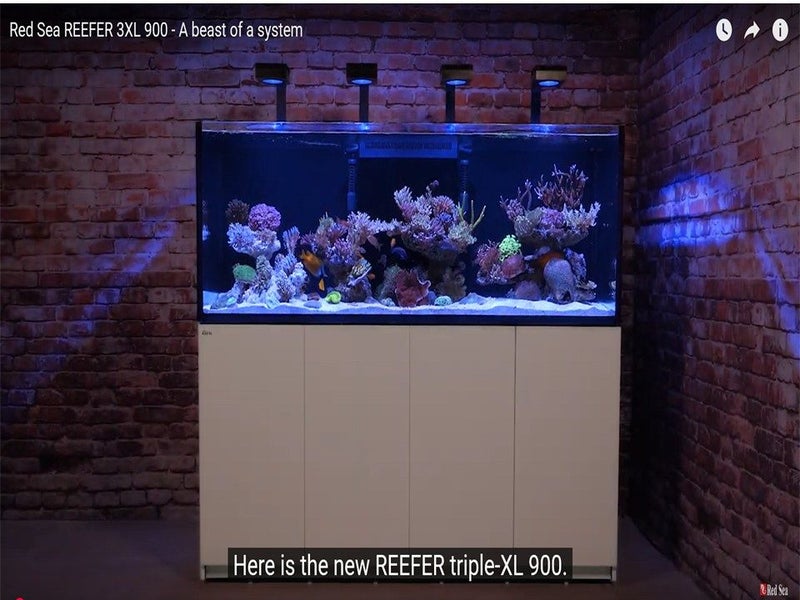 Marine FishTank Carousel 1