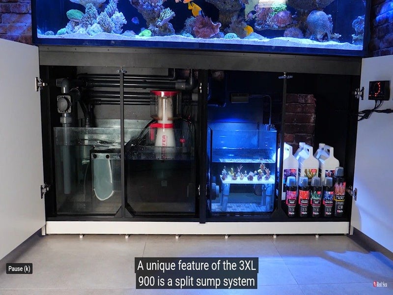 Marine FishTank Carousel 2